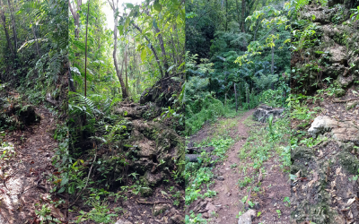 Bienvenida a los 4 ponentes en esta primera edición de FisDep 2025.